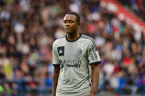 Imbula