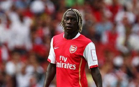 TELEGRAPH.CO.UK_sagna arsena